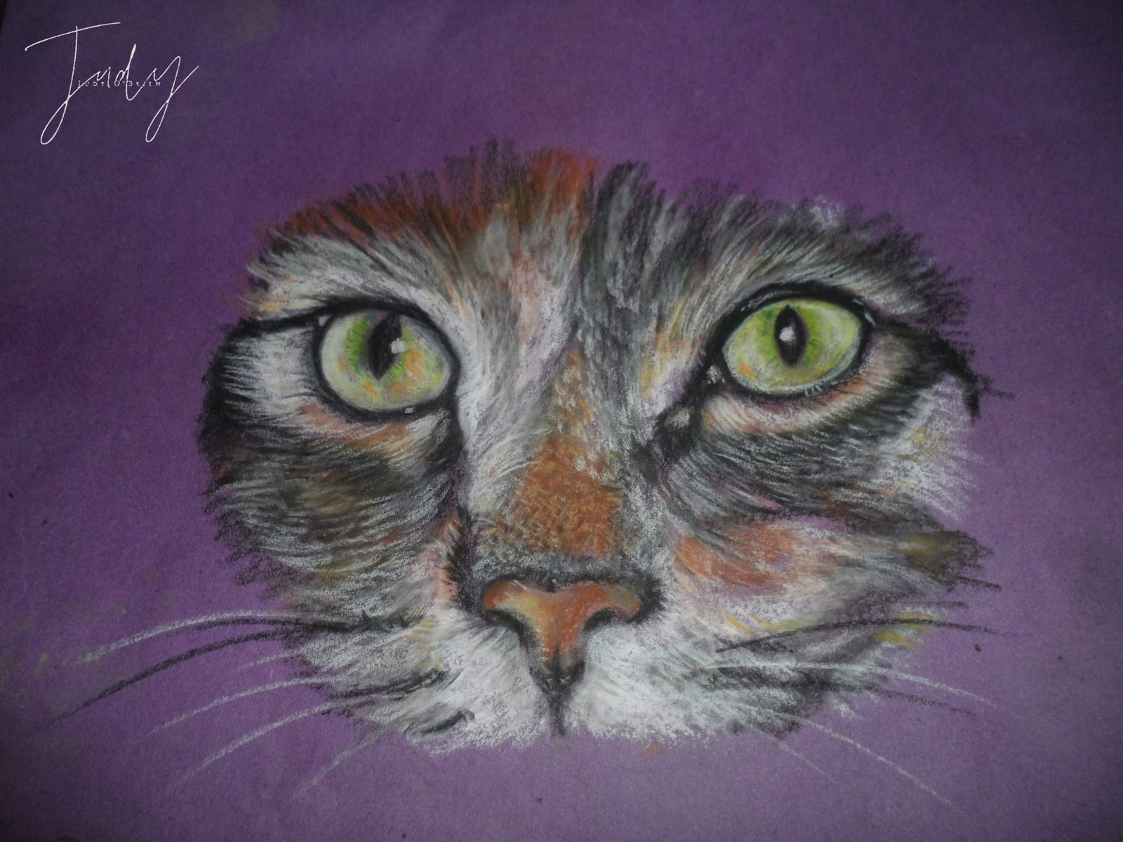 Judy's portrait