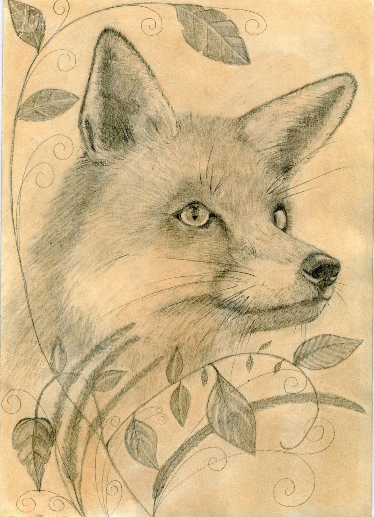 Judy's drawing