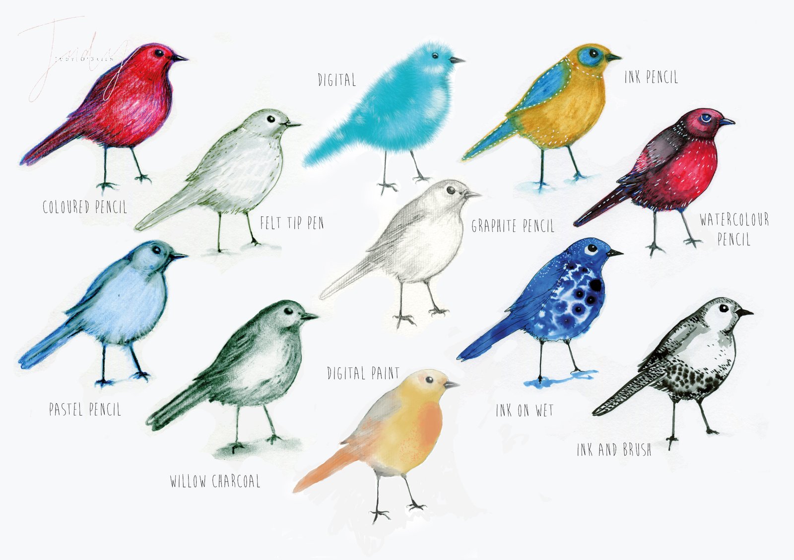 Colourful bird illustrations by Judy
